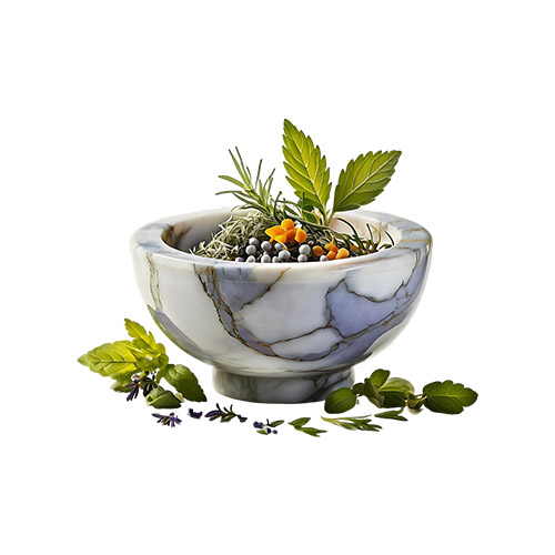 Ayaruedic Herbal Manufacturer in Delhi