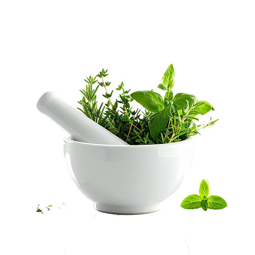 Pure HerbalPure Herbal Products Suppliers in Uttar Pradesh | Acharaya Product Manufacturer in Delhi